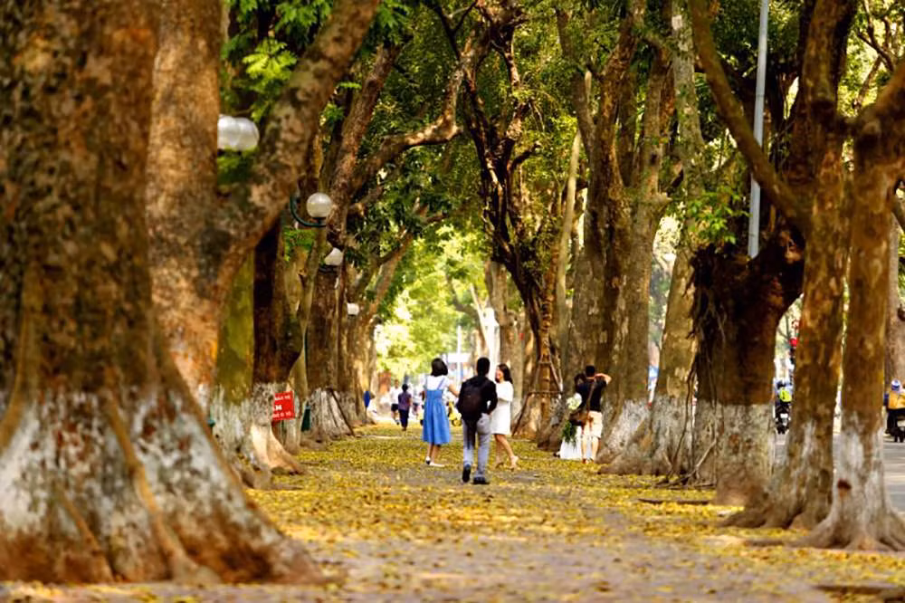 Nét đẹp thu Hà Nội là một trong những yếu tố thu hút khách du lịch.