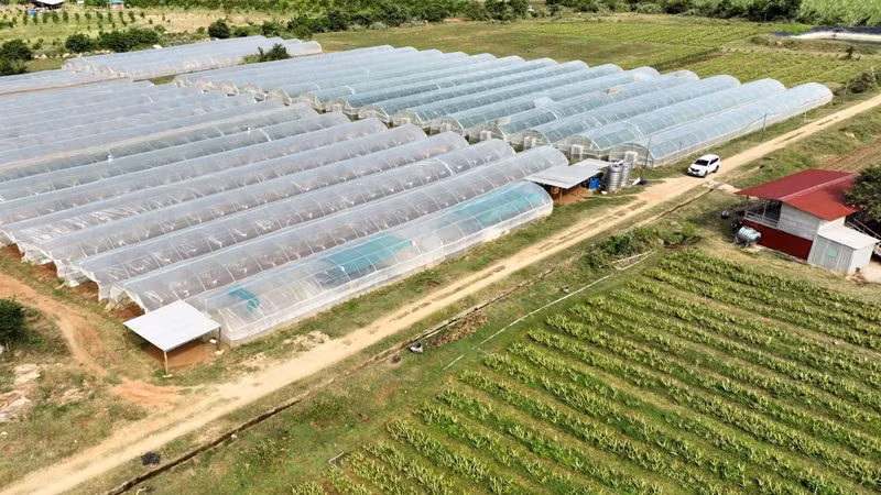 Trang trại Nắng và Gió ở thôn Phú Thuận, xã Mỹ Sơn, huyện Ninh Sơn (Ninh Thuận) áp dụng sản xuất nông nghiệp tuần hoàn theo chu trình khép kín, đem lại hiệu quả kinh tế cao (Ảnh: NGUYỄN TRUNG)