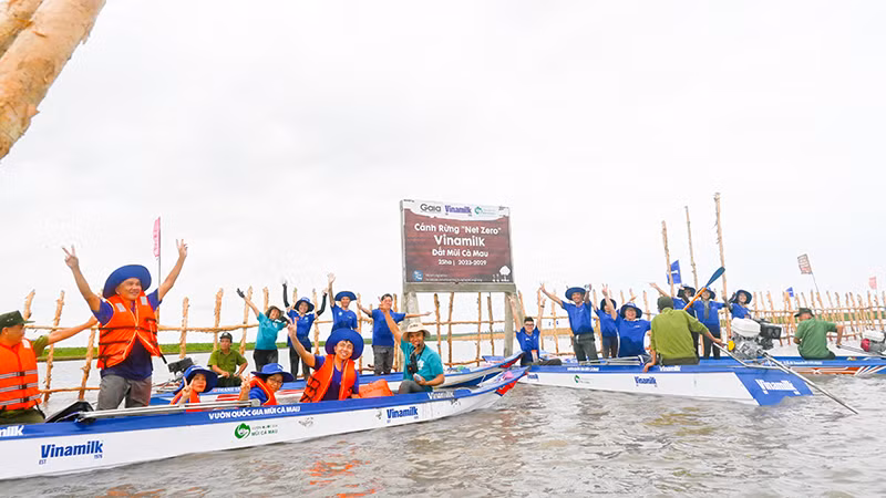 Hình 2a: Khu vực khoanh nuôi tái sinh rừng ngập mặn có diện tích 25ha do Vinamilk, Gaia chung tay thực hiện tại vùng lõi Vườn quốc gia Mũi Cà Mau