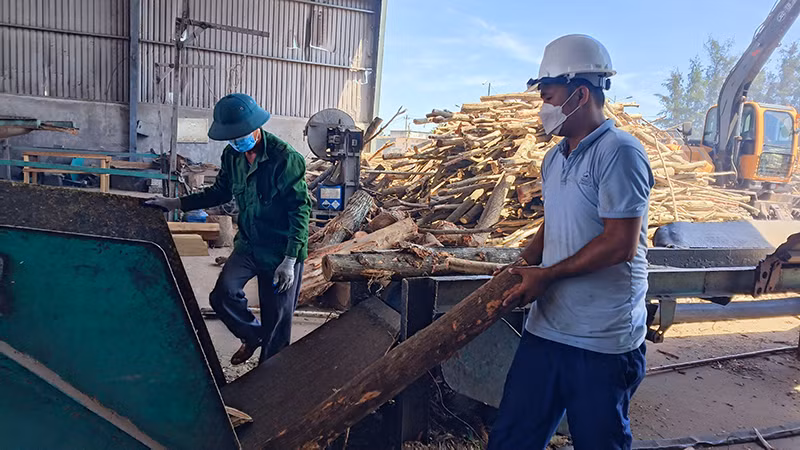 Công nhân Công ty cổ phần Tân Phú Sơn sản xuất gỗ dăm nén.