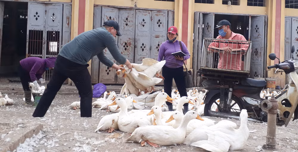 Giá thực phẩm tươi sống tăng khiến chi phí đi chợ của người lao động bị đội lên cao. Ảnh: DIÊN KHÁNH