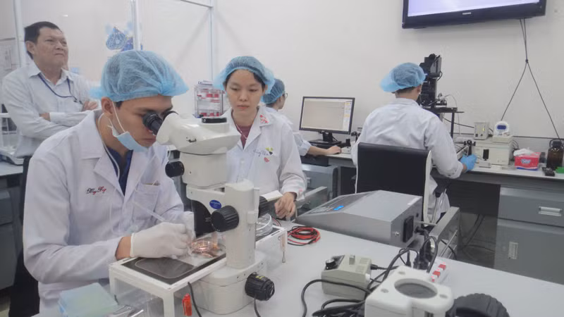 Hoạt động nghiên cứu khoa học tại Đại học Quốc gia Thành phố Hồ Chí Minh