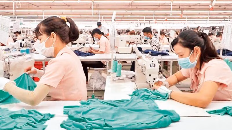 Lao động tại Công ty CP Dệt may đầu tư thương mại Thành Công (Ảnh minh họa: Phương Vy).