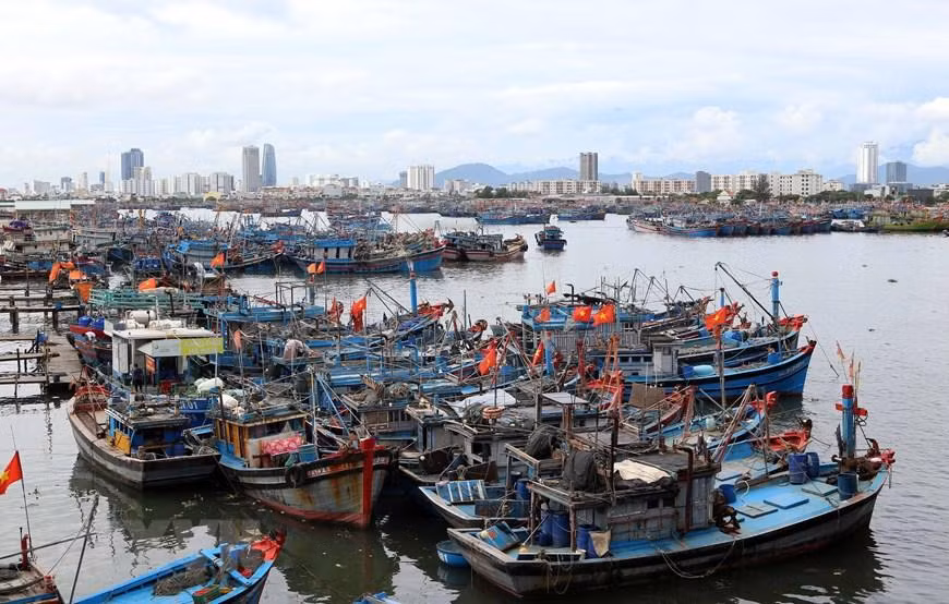 Tàu thuyền được sắp xếp đúng quy định để đảm bảo an toàn phòng chống bão Noru tại âu thuyền Thọ Quang, Đà Nẵng. (Ảnh: Trần Lê Lâm/TTXVN)