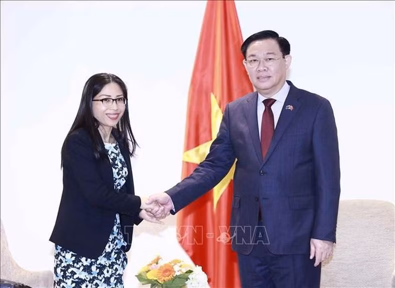 Chủ tịch Quốc hội Vương Đình Huệ tiếp đại diện tổ chức kết nối mạng lưới tri thức Việt Nam hoạt động trong lĩnh vực công nghệ và thông tin tại New Zealand - VietTechNZ. (Ảnh: TTXVN) Chủ tịch Quốc hội Vương Đình Huệ tiếp đại diện tổ chức kết nối mạng lưới tri thức Việt Nam hoạt động trong lĩnh vực công nghệ và thông tin tại New Zealand - VietTechNZ. (Ảnh: TTXVN)