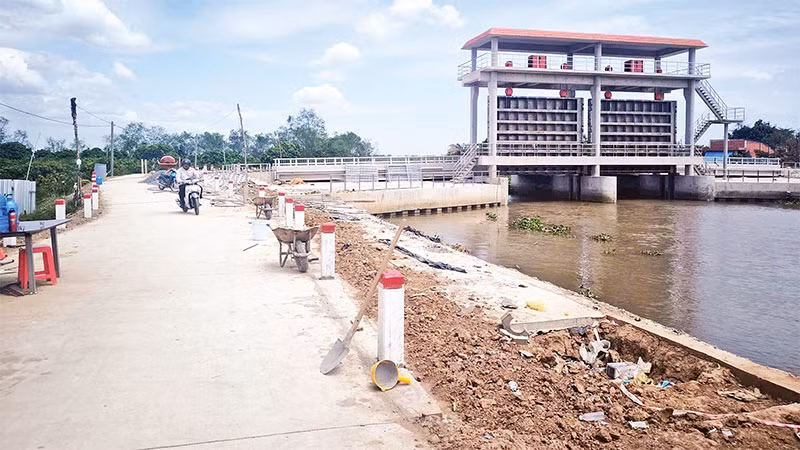 Cống Vàm Định Bình (xã Hòa Nghĩa, huyện Chợ Lách) chuẩn bị hoàn thành phục vụ ngăn mặn, trữ ngọt cho người dân trồng cây ăn quả.