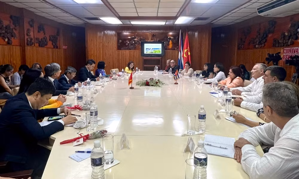 Toàn cảnh buổi làm việc của Đoàn công tác với lãnh đạo tỉnh Pinar, Cuba (Nguồn: Đại sứ quán Việt Nam tại Cuba)