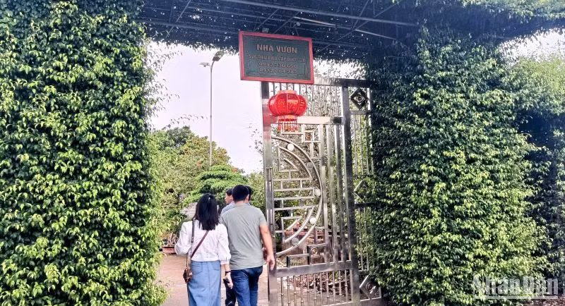 Cổng vào nhà vườn của gia đình nghệ nhân Nguyễn Như Tuấn. Cổng vào nhà vườn của gia đình nghệ nhân Nguyễn Như Tuấn.