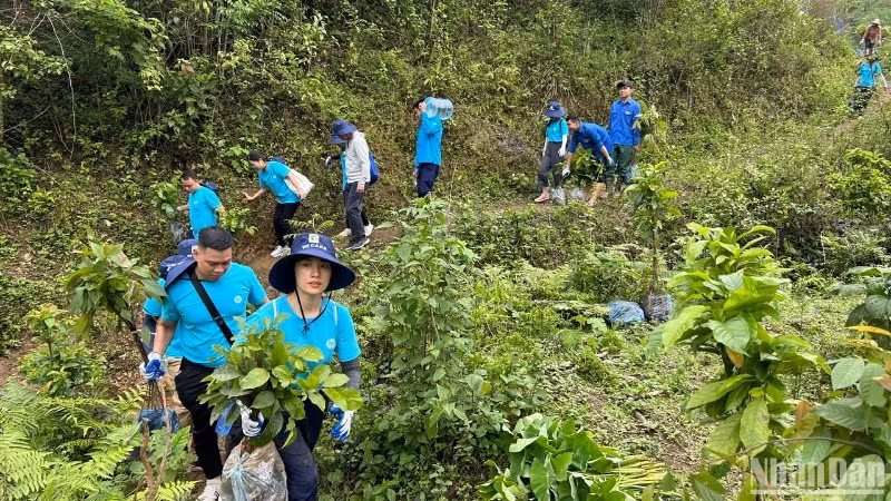 “Rừng xanh lên” là một hành trình gìn giữ thiên nhiên, vun đắp tương lai.
