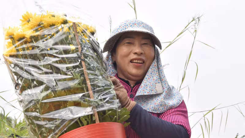 Nụ cười người trồng hoa trúng mùa.