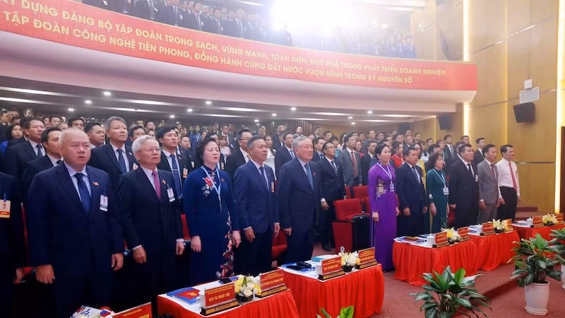 Các đại biểu tham dự Đại hội thực hiện nghi lễ chào cờ.
