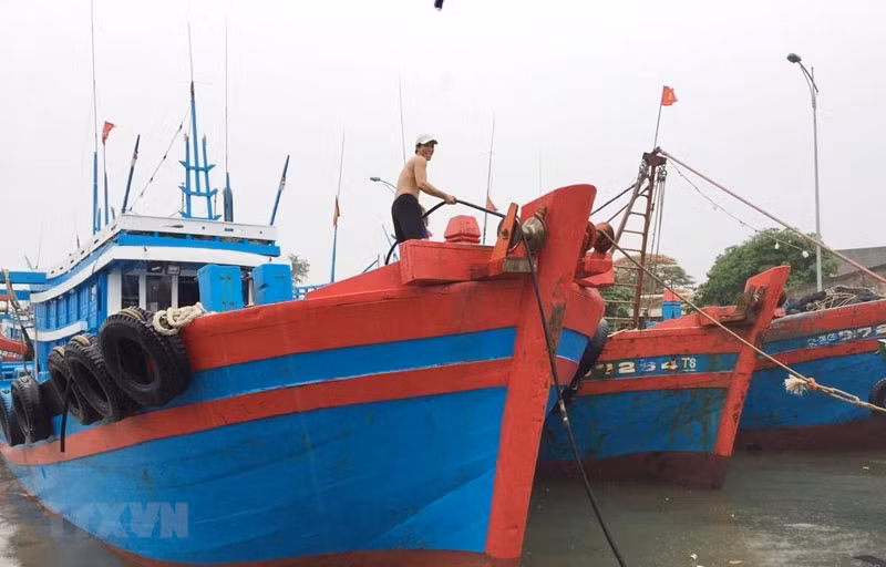 Ảnh minh họa. (Nguồn: TTXVN)