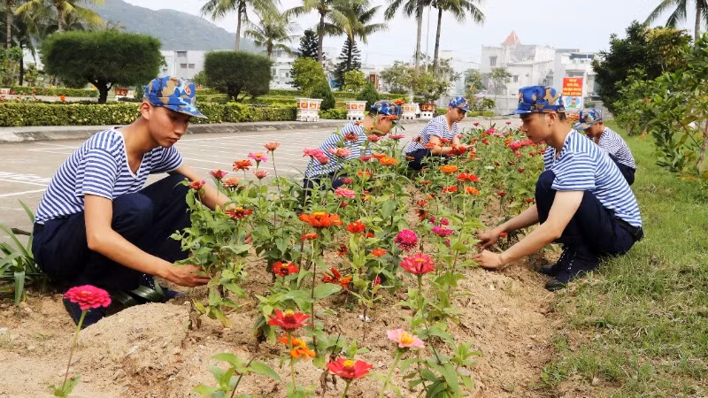 Làm đẹp cảnh quan đơn vị.