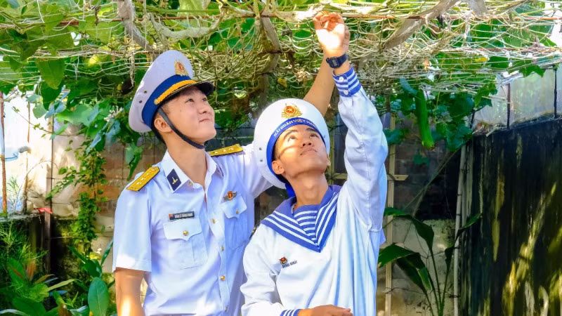 Vườn rau xanh trên đảo Sinh Tồn Đông.