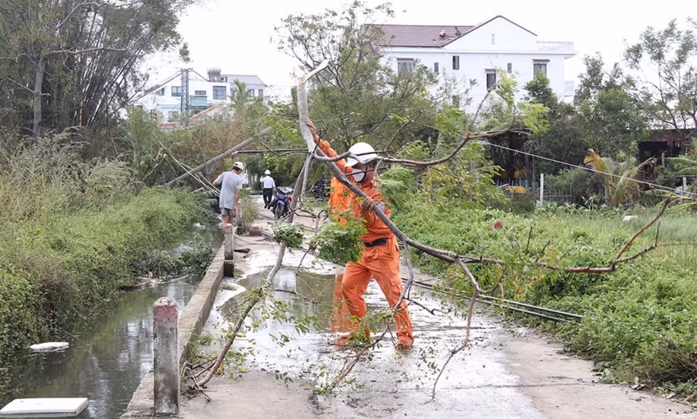 Phát dọn cây xanh gãy đổ sau bão ở Thừa Thiên Huế