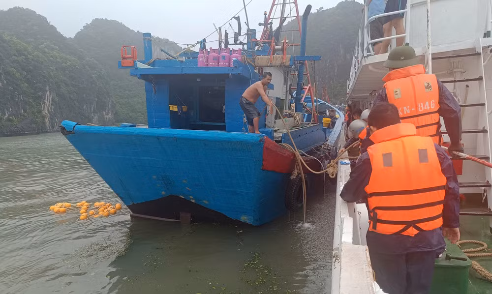 Tàu được neo đậu tránh trú bão an toàn. Tàu được neo đậu tránh trú bão an toàn.