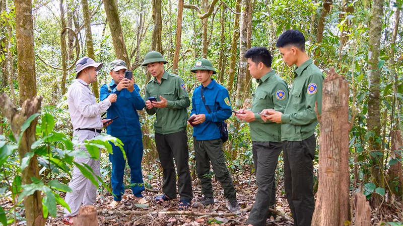 Cán bộ kiểm lâm sử dụng phần mềm smart mobile trong quản lý rừng tại Khu dự trữ thiên nhiên Mường Nhé, tỉnh Điện Biên. (Ảnh TẠ PHƯƠNG)