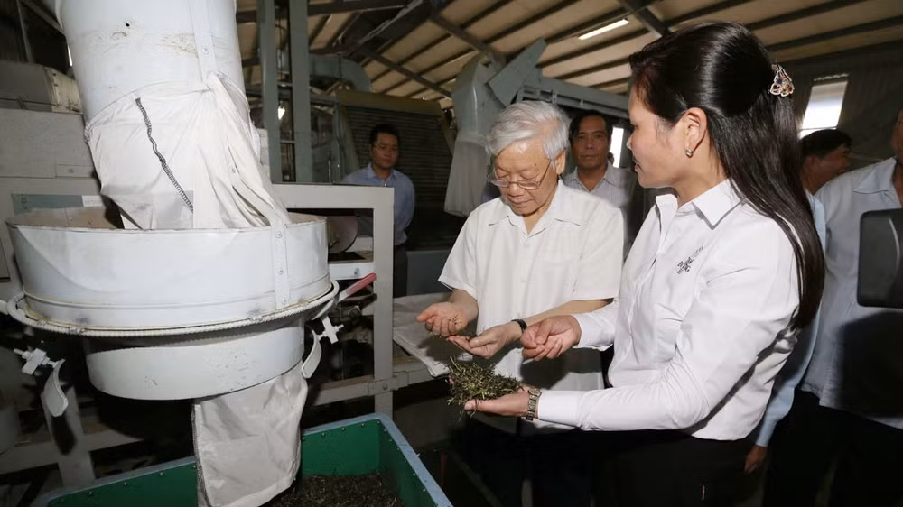 Tổng Bí thư Nguyễn Phú Trọng thăm Nhà máy chè Sen Cha, Công ty cổ phần đầu tư phát triển chè Tam Đường ở xã Bản Bo, huyện Tam Đường, tỉnh Lai Châu. (Ảnh: TTXVN)