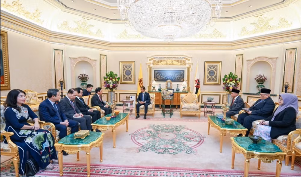 Phó Chủ tịch Quốc hội Nguyễn Khắc Định tiếp kiến Quốc vương Brunei Darussalam. (Ảnh: TTXVN)
