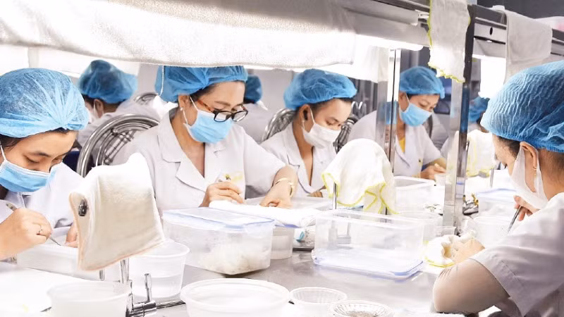 Sơ chế yến tại Công ty trách nhiệm hữu hạn Thương mại, dịch vụ Trí Sơn.