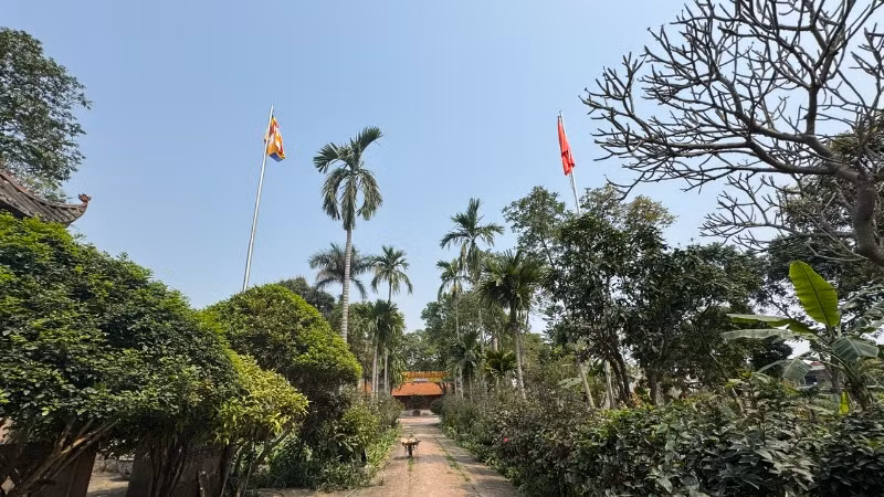 Một góc Chùa Tổ (thị xã Thuận Thành).