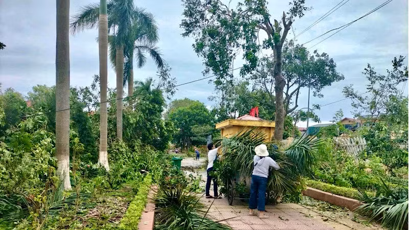 Đã có hơn 1500 cây xanh của các cơ sở bị bão quật đổ trong bão số 3.