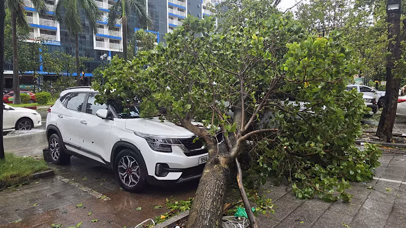 Mưa bão đã gây ra những thiệt hại không nhỏ về vật chất. Mưa bão đã gây ra những thiệt hại không nhỏ về vật chất.