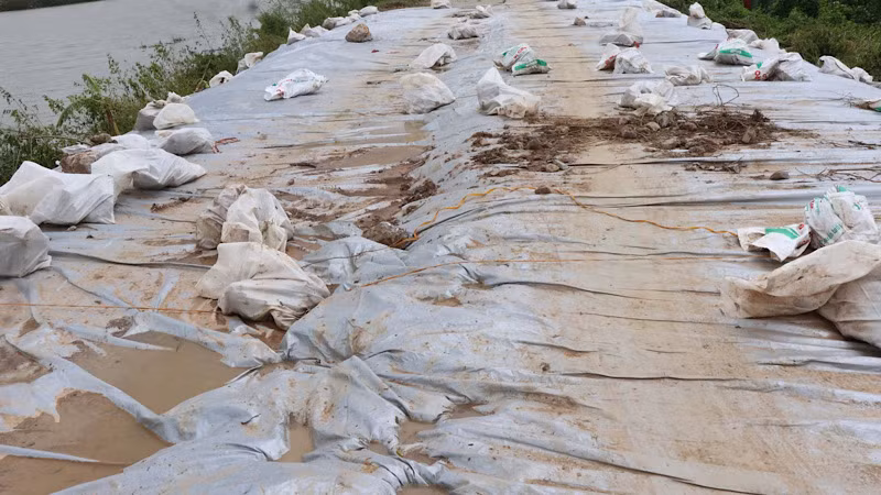 Một đoạn đê đã được gia cố xong tại huyện Tiên Du. Một đoạn đê đã được gia cố xong tại huyện Tiên Du.