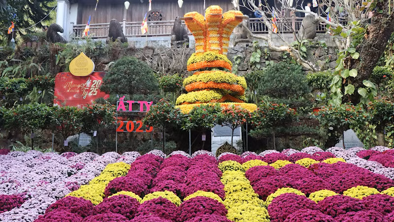 Lễ hội Khán hoa Mẫu đơn tại chùa Phật Tích thu hút đông đảo du khách và người dân địa phương trảy hội.