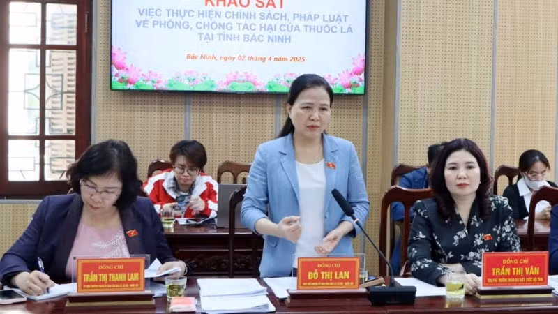 Đồng chí Đỗ Thị Lan, Phó Chủ nhiệm Ủy ban Văn hóa và Xã hội phát biểu.