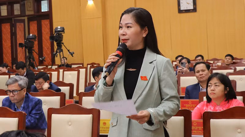 Các đại biểu tiến hành chất vấn.