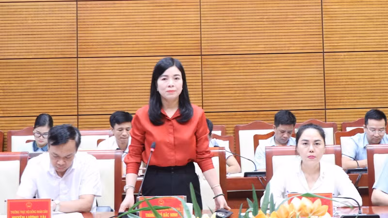 Các đại biểu thảo luận, đóng góp ý kiến.
