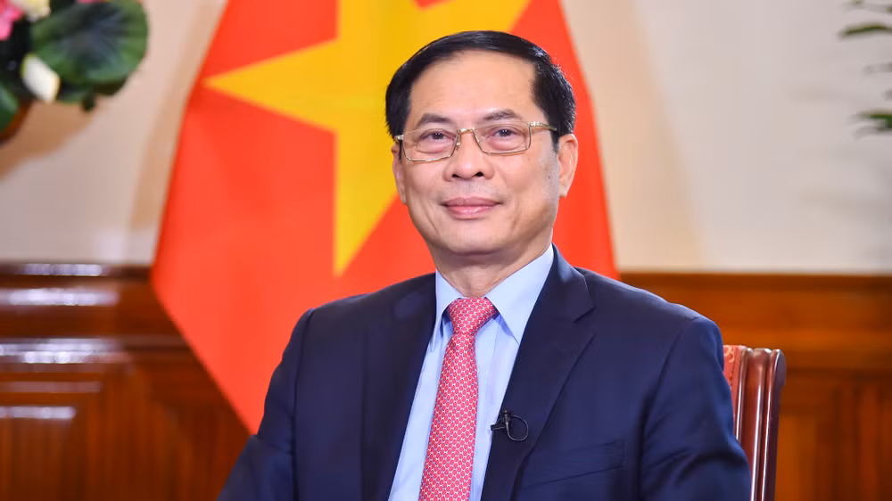 Bộ trưởng Ngoại giao Bùi Thanh Sơn. (Ảnh: Bộ Ngoại giao) 
