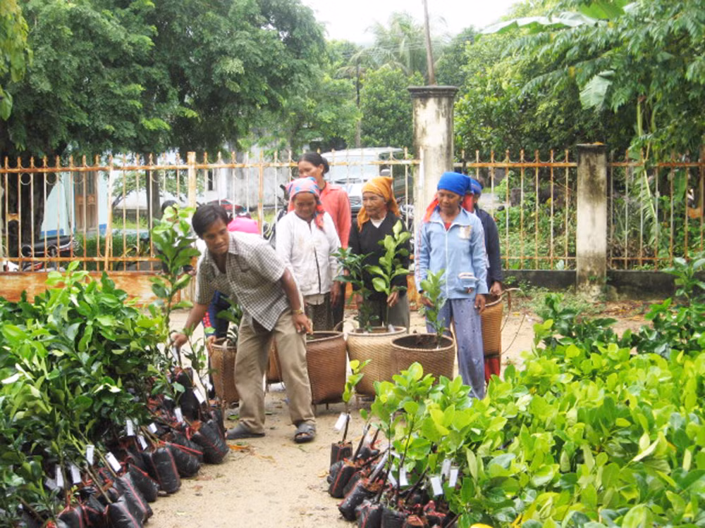 Huyện Bác Ái, tỉnh Ninh Thuận tổ chức phân cây giống cho đồng bào Raglai trồng rừng và nhận khoán bảo vệ rừng. 