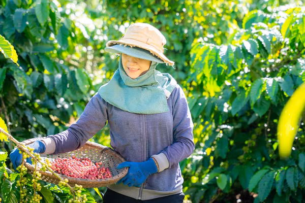 Việt Nam là mắt xích chiến lược trong chuỗi giá trị toàn cầu của Nestlé