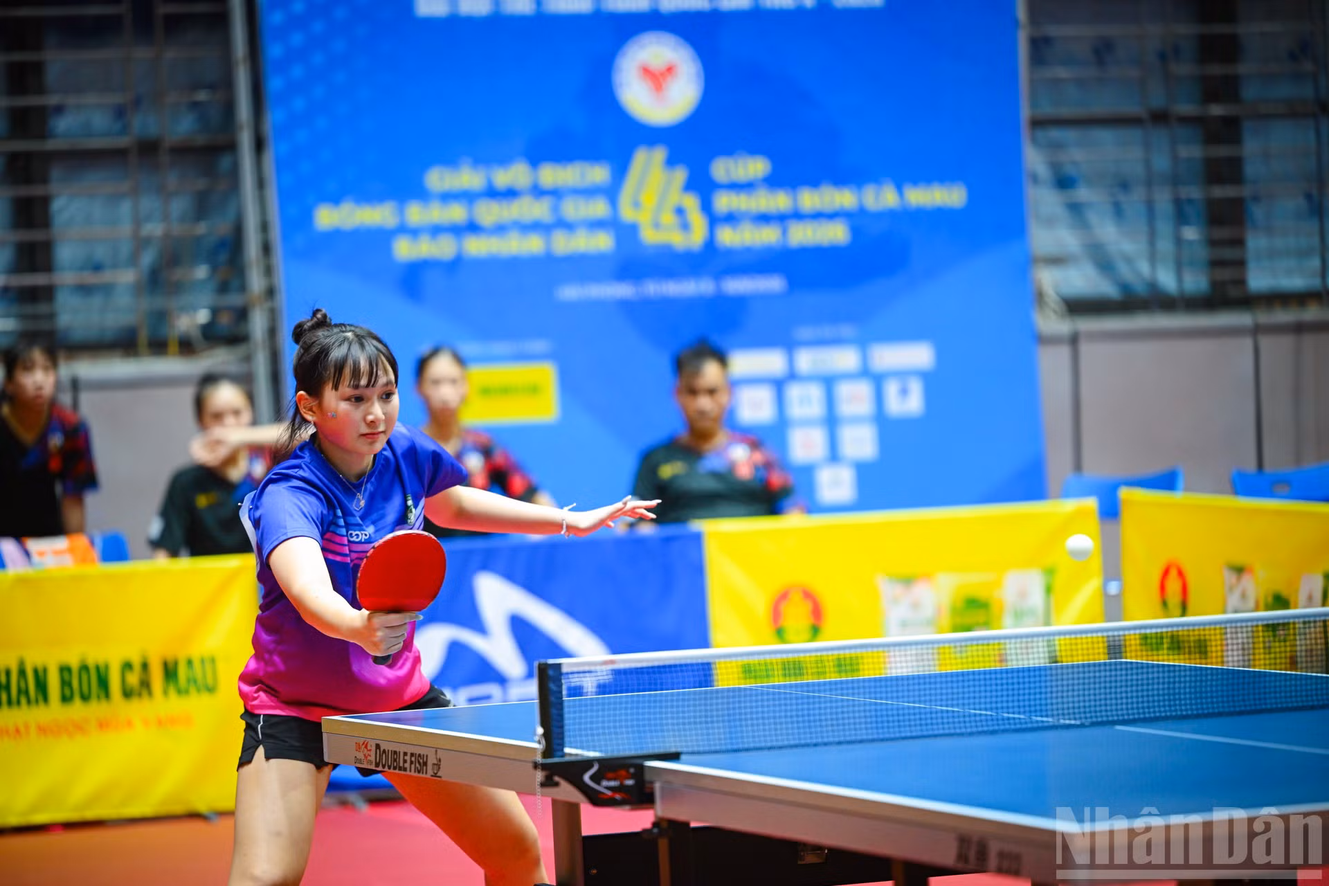 ndo_br_lam-dong-do-le-van-chi-2.jpg