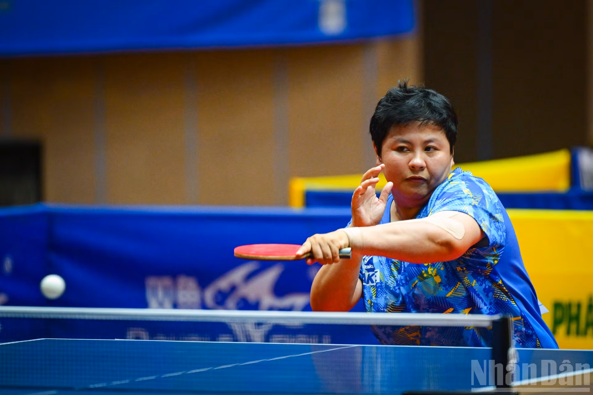 ndo_br_tphcm-mai-hoang-my-trang-3.jpg