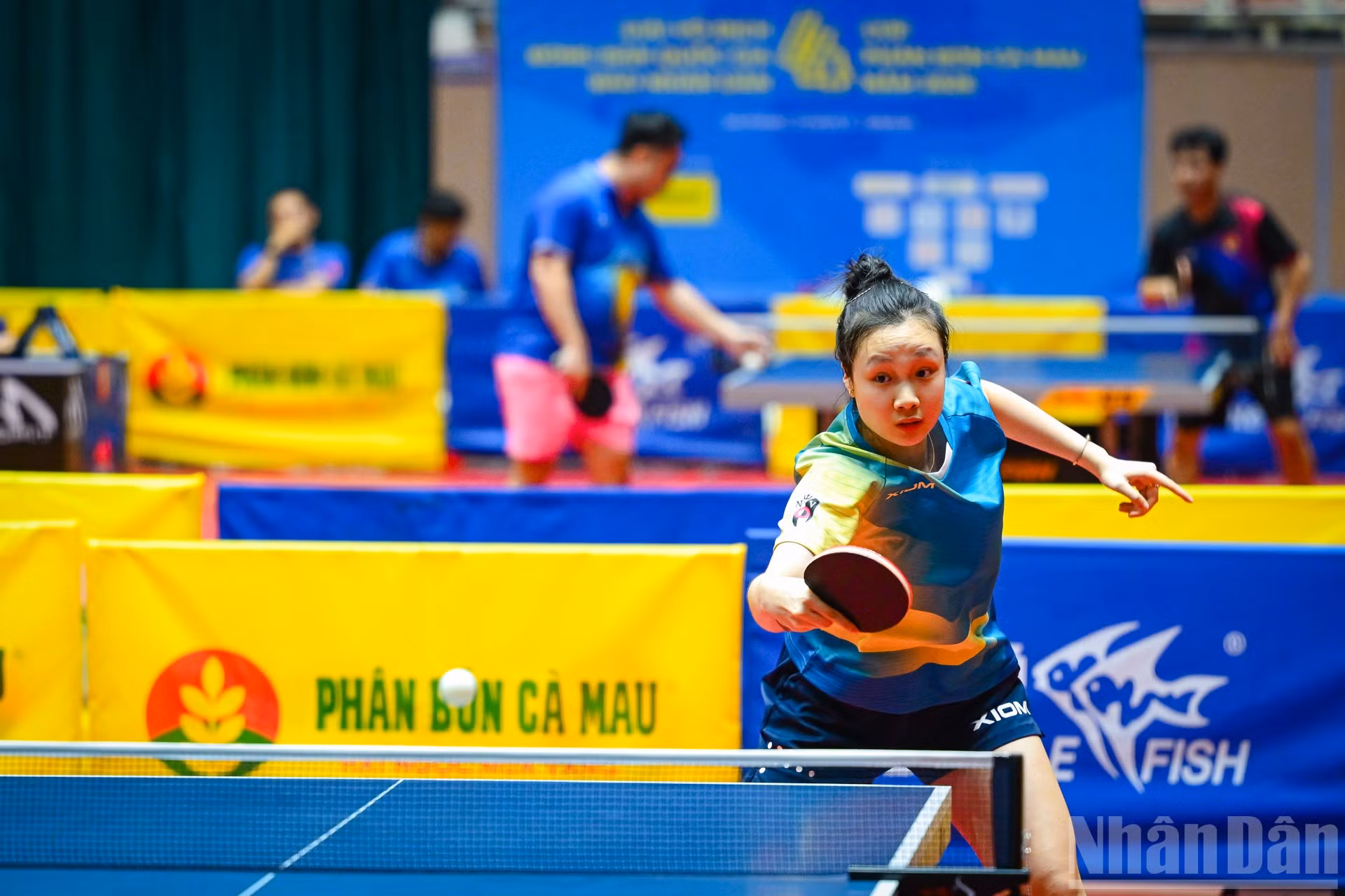 ndo_br_hai-phong-nguyen-thi-mai-phuong.jpg