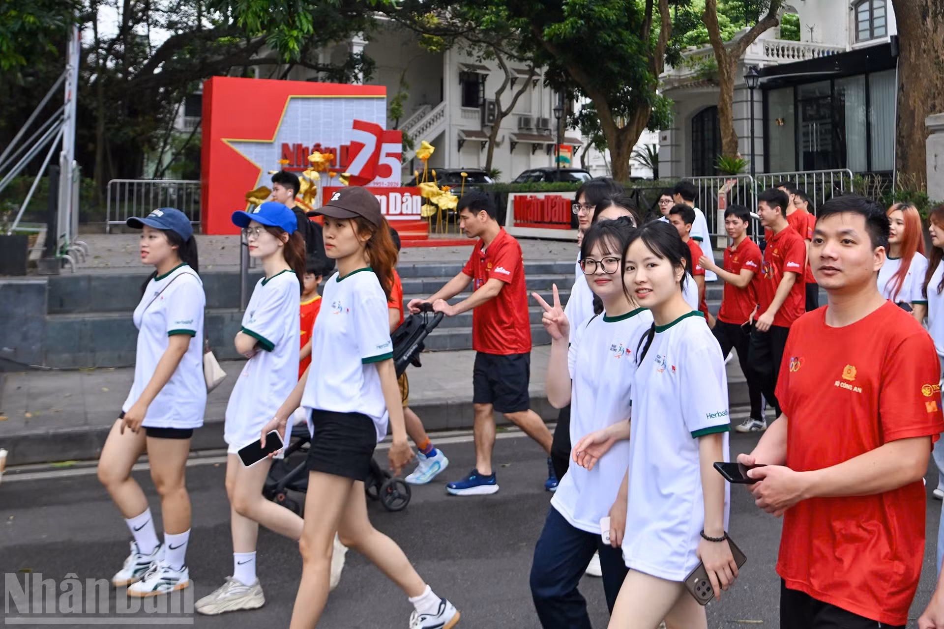 ndo_bl_359096784bd7c5899cc63.jpg