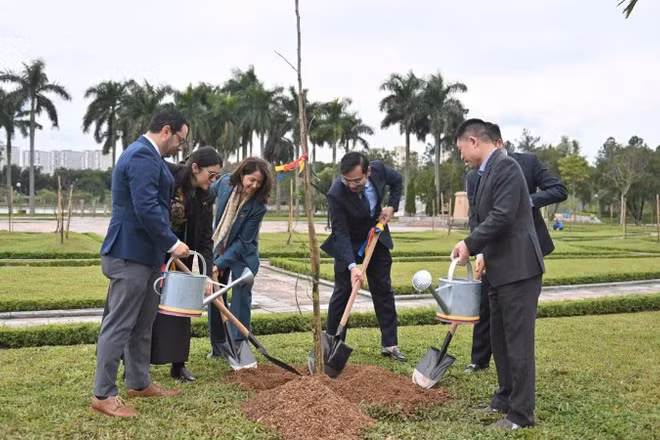 Các đại biểu trồng cây Me tây (Saman) tại Công viên Hòa Bình. (Ảnh: Đại sứ quán Colombia tại Việt Nam)
