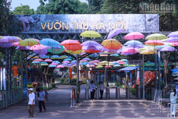 Công viên Thủ Lệ, thuộc phường Giảng Võ, Hà Nội, là một trong những không gian xanh gắn bó với đời sống người dân Thủ đô qua nhiều thế hệ. 