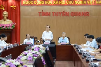 Quang cảnh buổi làm việc.