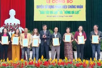 UBND TP Đà Lạt trao quyền sử dụng nhãn hiệu “Dâu tây Đà Lạt” và “Hồng Đà Lạt” cho các tổ chức, cá nhân.