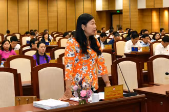 Đại biểu HĐND thành phố phát biểu ý kiến thảo luận tại kỳ họp.
