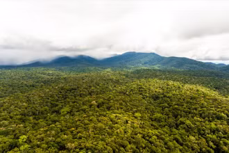 Khu bảo tồn thiên nhiên Nâm Nung trong Công viên địa chất Đắk Nông (Ảnh: DAKNONGGEOPARK)