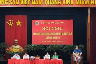 Các đại biểu tham dự Hội nghị.
