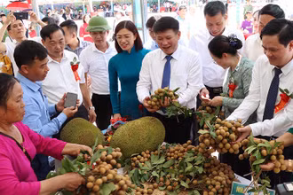 Sơn La xuất chính ngạch gần 30 tấn nhãn sang Trung Quốc