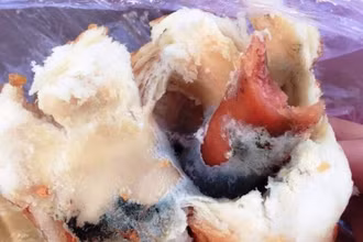 Hình ảnh bánh mì nổi nấm mốc được chị L.T.K.D đăng tải trên mạng xã hội.