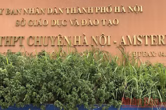Trường Hà Nội-Amsterdam tuyển 180 chỉ tiêu vào lớp 6