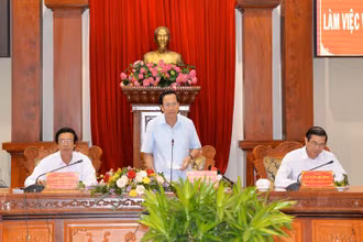 Đồng chí Đào Ngọc Dung phát biểu tại buổi làm việc.  